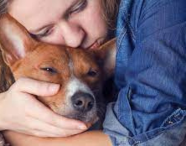 Eutanasia en animales: un acto de amor cuando ya no hay cura ni antídoto para el sufrimiento de nuestras mascotas