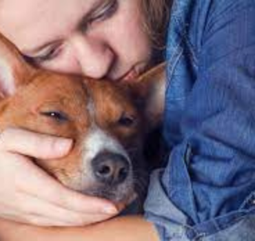 Eutanasia en animales: un acto de amor cuando ya no hay cura ni antídoto para el sufrimiento de nuestras mascotas